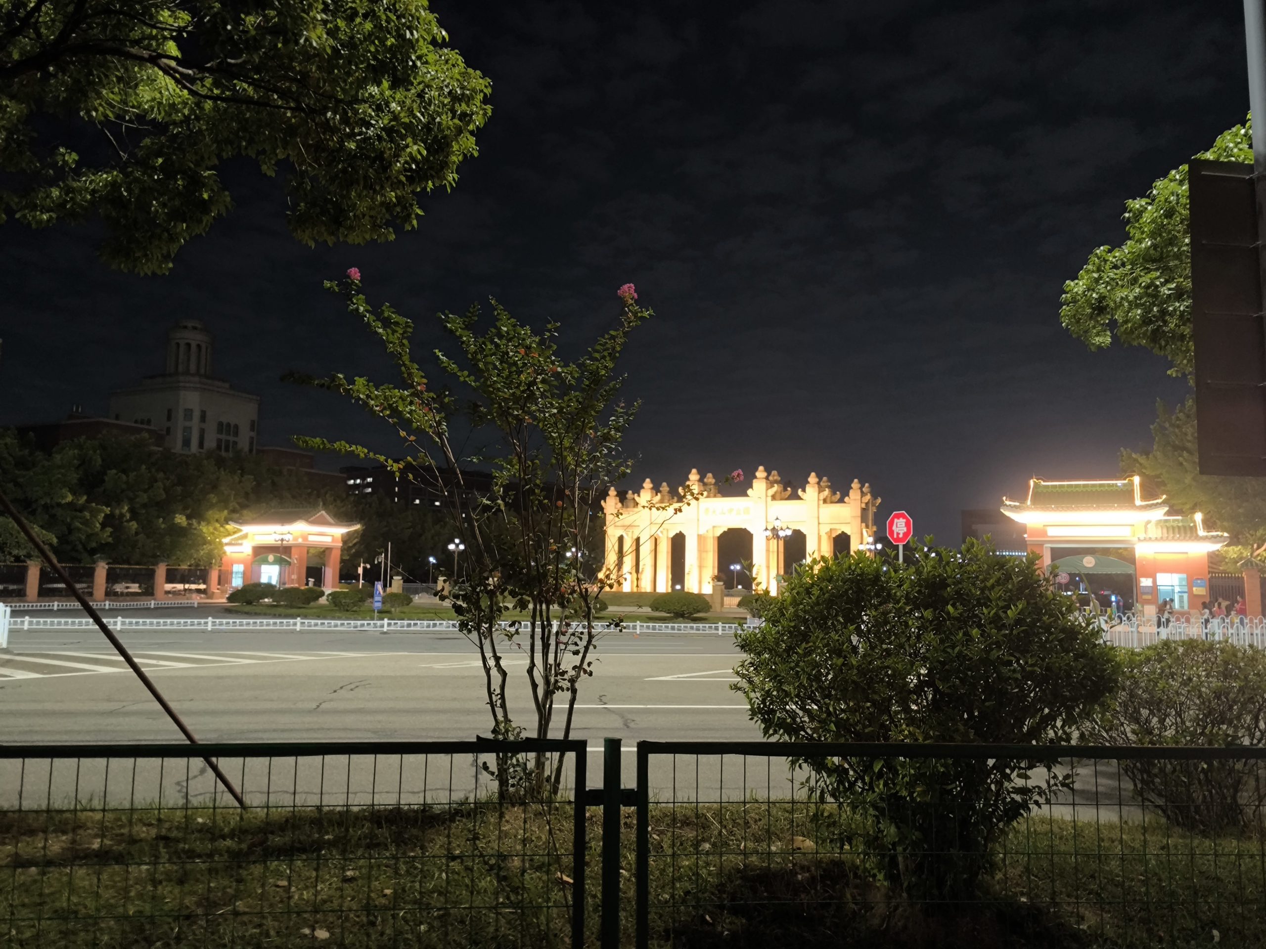 2025-11-15-我的日记